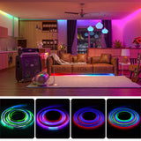 LED Strip RGBIC 5050 WS2812b Bluetooth App Control Chasing Effect Lights Flexible Tape Diode Ribbon TV BackLight Room Decorate