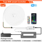 Tuya WiFi LED Neon Strip Light 12V RGBIC Smart Strip Light IP67 Waterproof RGB Chasing Flexible Tape Dream Color with Alexa